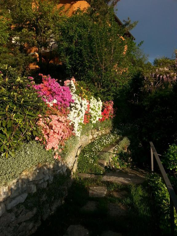Casa Vacanze Le Violette Villa Brunate Exterior photo